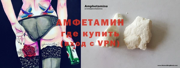 молекула духа Арсеньев