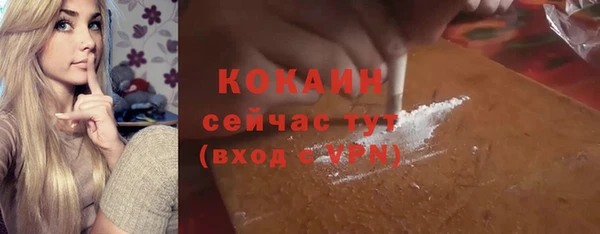 молекула духа Арсеньев