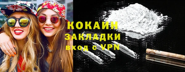 молекула духа Арсеньев