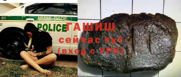 молекула духа Арсеньев