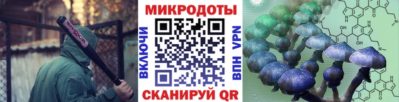 дарк нет наркотические препараты  Наволоки  Псилоцибиновые грибы Psilocybine cubensis  дарнет шоп 