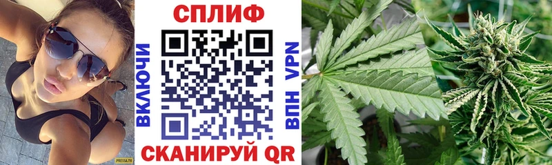 Бошки Шишки AK-47  где купить наркотик  Наволоки 